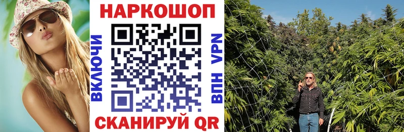 Где можно купить наркотики Минеральные Воды Амфетамин  Псилоцибиновые грибы  МЕГА сайт  ГАШИШ  Марихуана  LSD-25 
