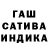 Марихуана сатива Nikolay Rom