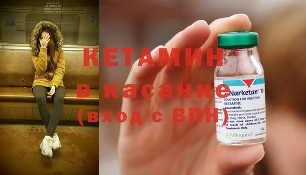 прущие грибы Беломорск
