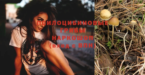 мяу мяу мука Белокуриха