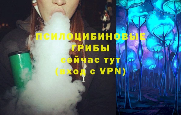 ПСИЛОЦИБИНОВЫЕ ГРИБЫ Белоозёрский