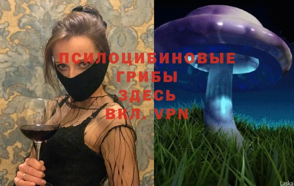 героин Богородицк