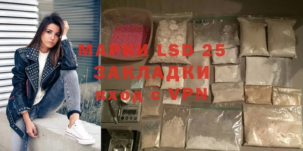 прущие грибы Беломорск