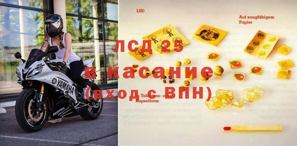прущие грибы Беломорск