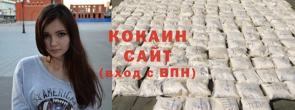 прущие грибы Беломорск