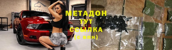 прущие грибы Беломорск