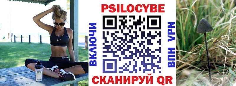 где купить наркоту  omg ССЫЛКА  Псилоцибиновые грибы MAGIC MUSHROOMS  Минеральные Воды 