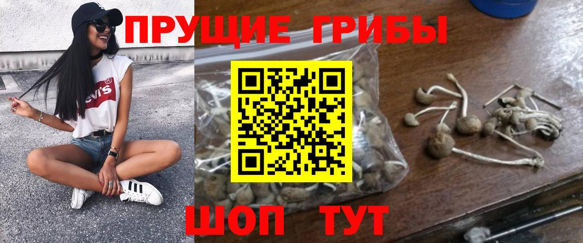 Минеральные Воды  Псилоцибиновые грибы Psilocybe  Вход с VPN 